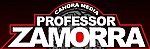 Hier geht es zu den PROFESSOR ZAMORRA-H&ouml;rspielen ...