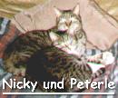 Nicky und Peterle (1996) ...